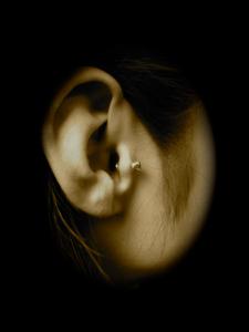 トラガス トラガス