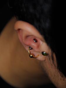 カボション軍 カボション軍