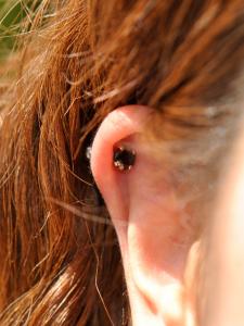 ヘリックス ヘリックス