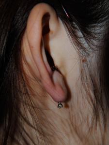 トランスバースイヤーガス トランスバースイヤーガス