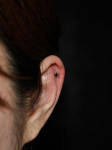 ブラックダイヤモンド ブラックダイヤモンド