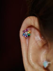 フラワーレボリューション フラワーレボリューション