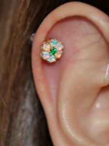 緑の輝き 緑の輝き