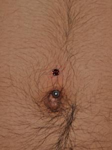 ガーネット ガーネット