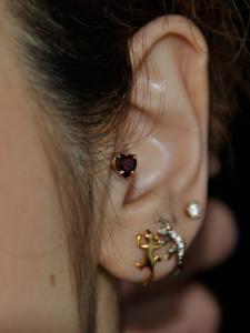 トラガス トラガス