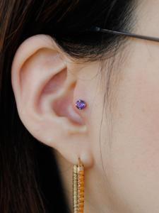 トラガス トラガス