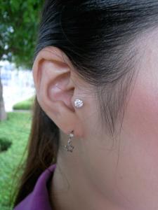 トラガス トラガス