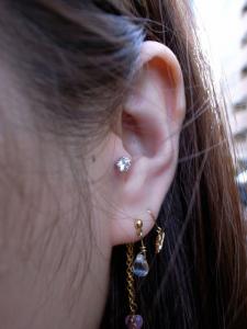 トラガス トラガス