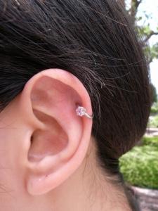 ピンクジルコニア ピンクジルコニア