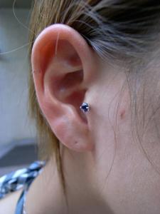 トラガス トラガス