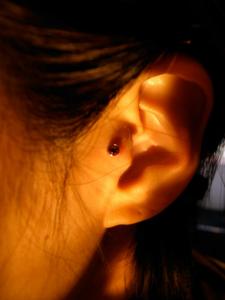 トラガス トラガス