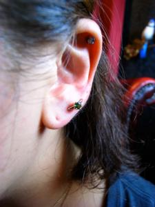 オービタル オービタル