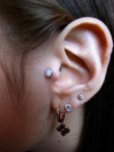 トラガス トラガス