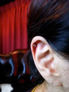 ヘリックス ヘリックス