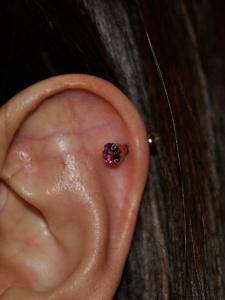 ヘリックス ヘリックス