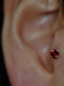 トラガス トラガス