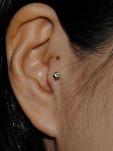 ペリドット ペリドット