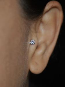 Tragus Tragus