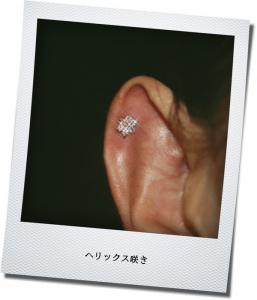 ヘリックス咲き ヘリックス咲き