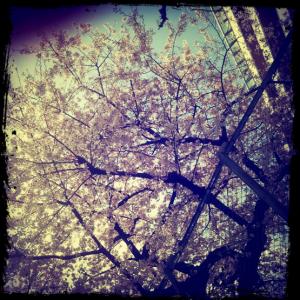 渋谷一丁目 渋谷一丁目