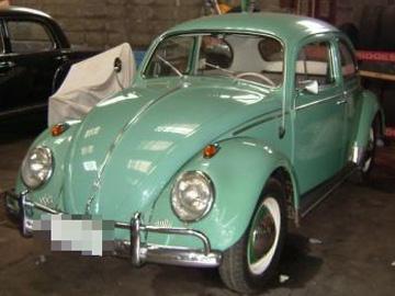 ビートル ビートル