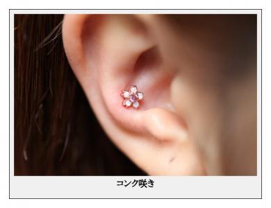 コンク咲き コンク咲き