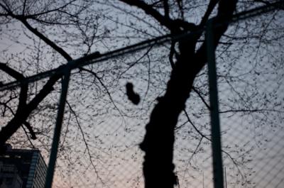 渋谷1丁目 渋谷1丁目