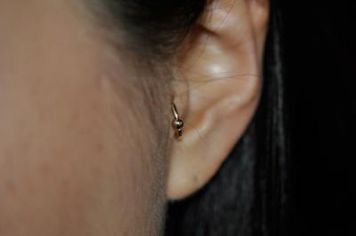 トラガス トラガス