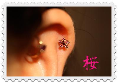 桜 桜