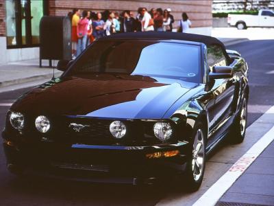 Mustang Mustang