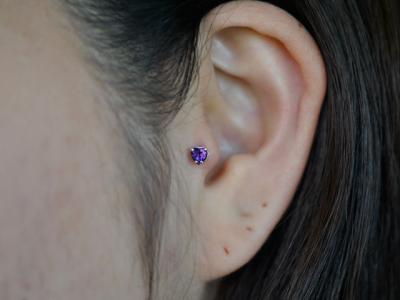 トラガス トラガス