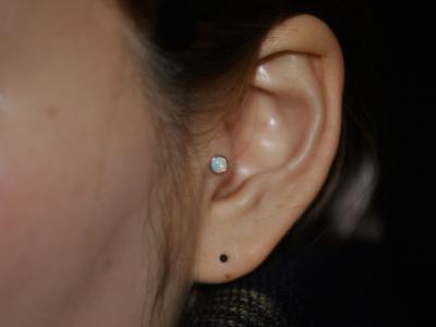 トラガス トラガス