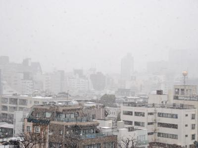 雪化粧 雪化粧