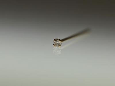 ノストリルスクリュー ノストリルスクリュー