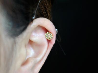 ヘリックス ヘリックス