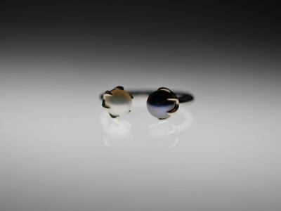 パール × ブラックパール パール × ブラックパール