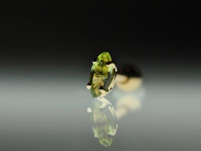 マーキス マーキス