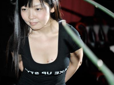 GATE BRIDGE GATE BRIDGE