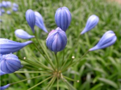 そろそろ そろそろ