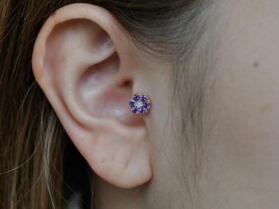 トラガス トラガス