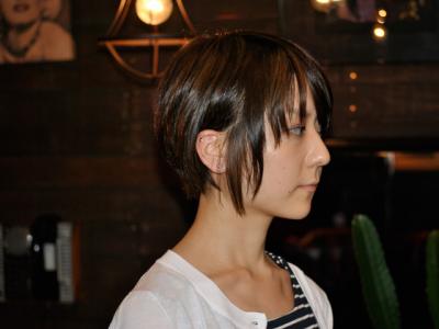 GATE BRIDGE GATE BRIDGE