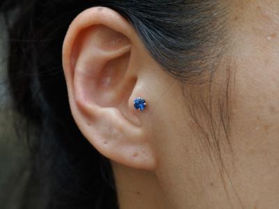 トラガス トラガス