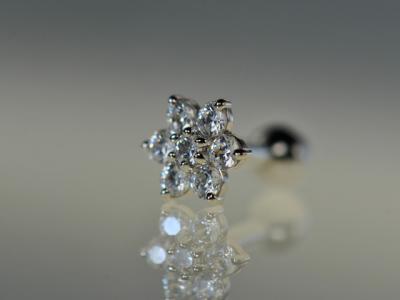 WG 6,4ミリ WG 6,4ミリ