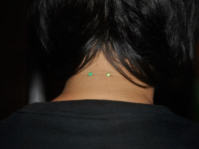 癒し系ネイプ 癒し系ネイプ