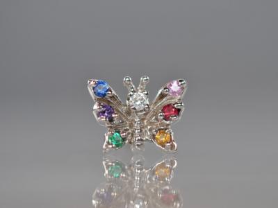 レインボーバタフライ レインボーバタフライ