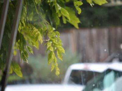 雨、シアトル。 雨、シアトル。