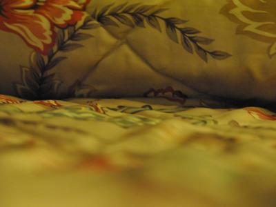 The Roosevelt Hotel The Roosevelt Hotel