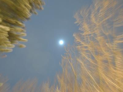 ブルームーン ブルームーン