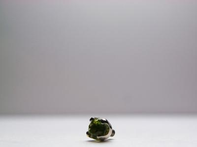 ペリドット ペリドット