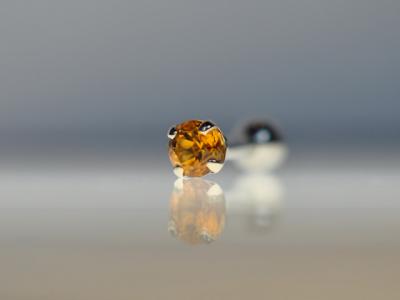 シトリン シトリン